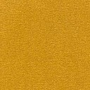 Ковролин Radici Nexus Senape 2429  | FLOORDEALER